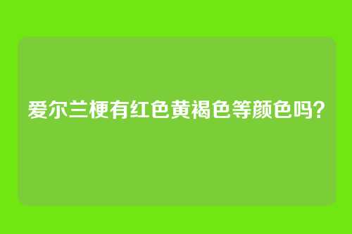 爱尔兰梗有红色黄褐色等颜色吗？