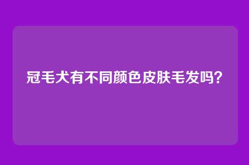 冠毛犬有不同颜色皮肤毛发吗？