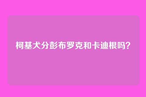 柯基犬分彭布罗克和卡迪根吗？