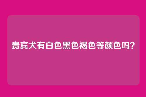 贵宾犬有白色黑色褐色等颜色吗？
