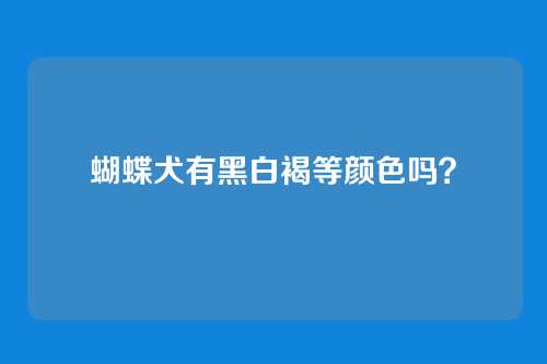 蝴蝶犬有黑白褐等颜色吗？