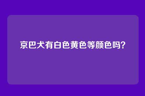 京巴犬有白色黄色等颜色吗？