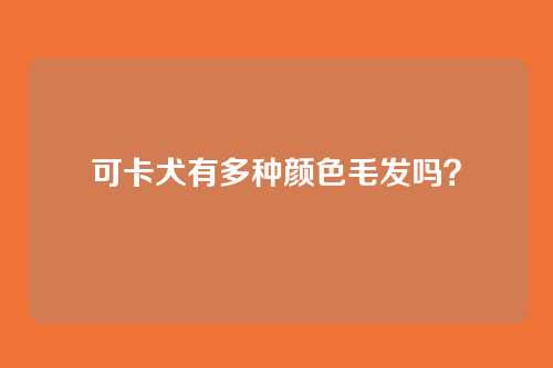 可卡犬有多种颜色毛发吗？
