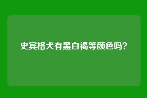 史宾格犬有黑白褐等颜色吗?