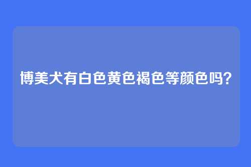 博美犬有白色黄色褐色等颜色吗？