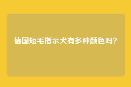 德国短毛指示犬有多种颜色吗?