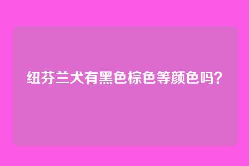 纽芬兰犬有黑色棕色等颜色吗?