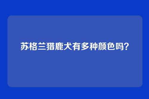 苏格兰猎鹿犬有多种颜色吗?