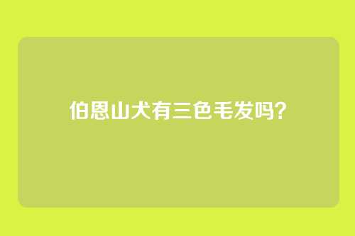 伯恩山犬有三色毛发吗？