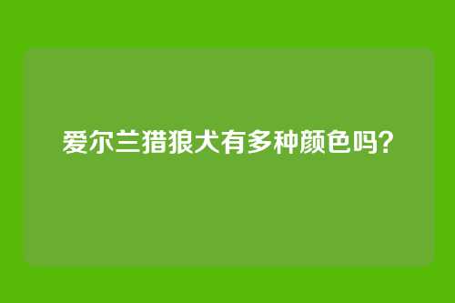 爱尔兰猎狼犬有多种颜色吗？
