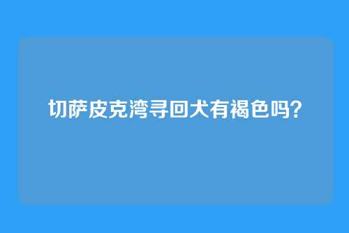 切萨皮克湾寻回犬有褐色吗？