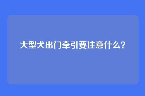 大型犬出门牵引要注意什么?