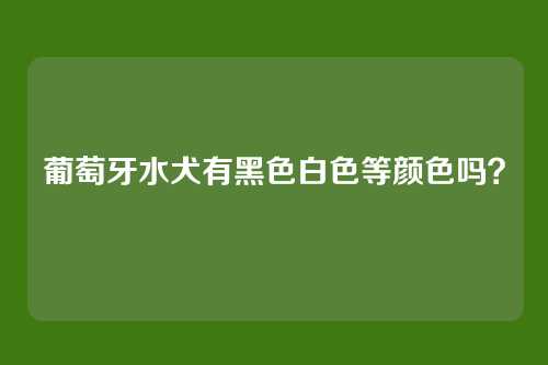 葡萄牙水犬有黑色白色等颜色吗？