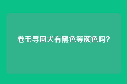 卷毛寻回犬有黑色等颜色吗?