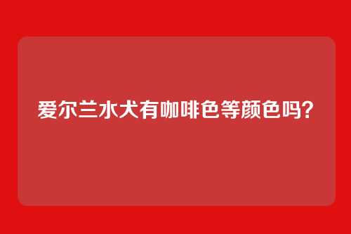 爱尔兰水犬有咖啡色等颜色吗？