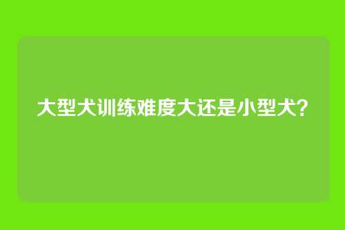 大型犬训练难度大还是小型犬?