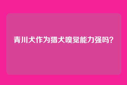 青川犬作为猎犬嗅觉能力强吗？