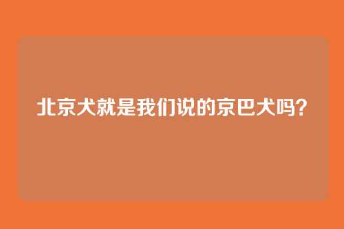 北京犬就是我们说的京巴犬吗？