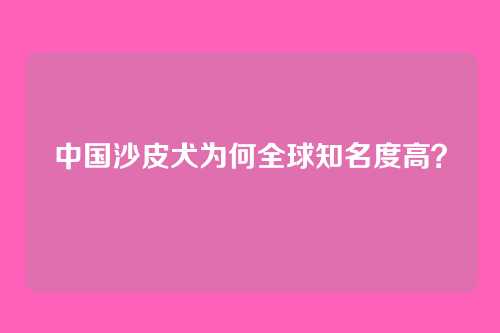 中国沙皮犬为何全球知名度高？