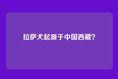 拉萨犬起源于中国西藏？