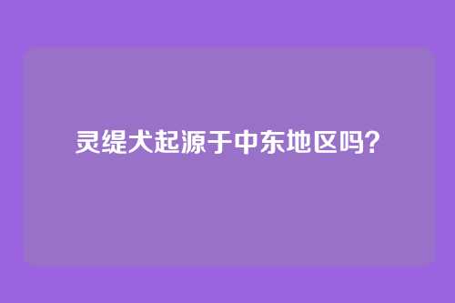 灵缇犬起源于中东地区吗？