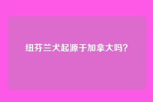 纽芬兰犬起源于加拿大吗？