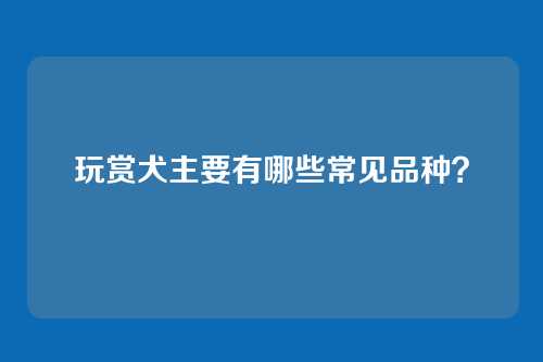 玩赏犬主要有哪些常见品种？
