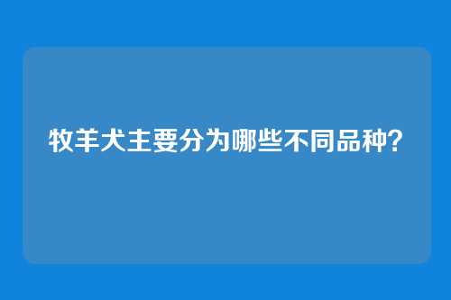 牧羊犬主要分为哪些不同品种？