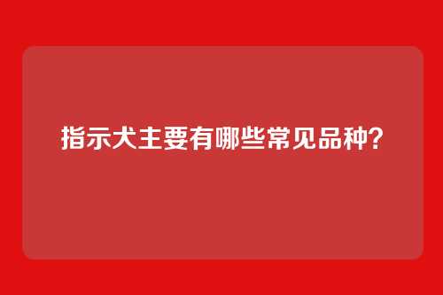 指示犬主要有哪些常见品种？