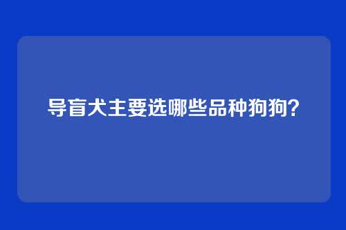 导盲犬主要选哪些品种狗狗？