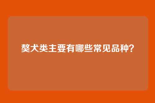 獒犬类主要有哪些常见品种？