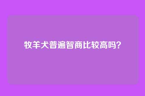 牧羊犬普遍智商比较高吗？