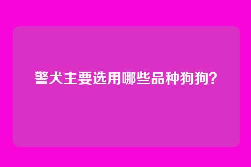 警犬主要选用哪些品种狗狗？