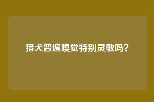 猎犬普遍嗅觉特别灵敏吗？