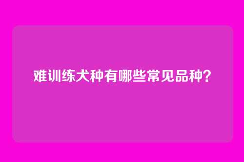 难训练犬种有哪些常见品种？
