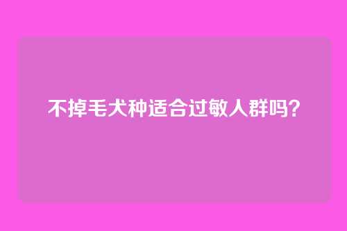 不掉毛犬种适合过敏人群吗？