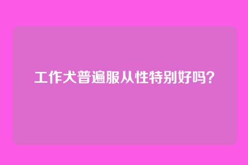 工作犬普遍服从性特别好吗？