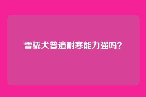 雪橇犬普遍耐寒能力强吗?
