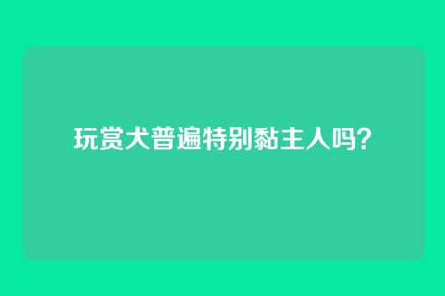 玩赏犬普遍特别黏主人吗？