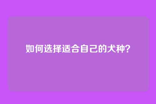 如何选择适合自己的犬种？