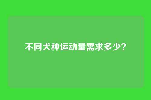 不同犬种运动量需求多少？