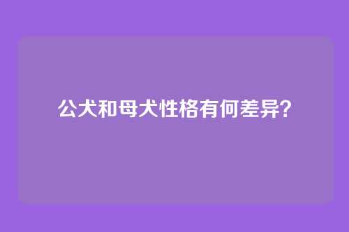 公犬和母犬性格有何差异？