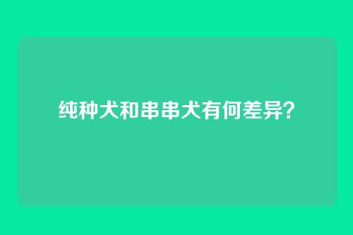 纯种犬和串串犬有何差异?