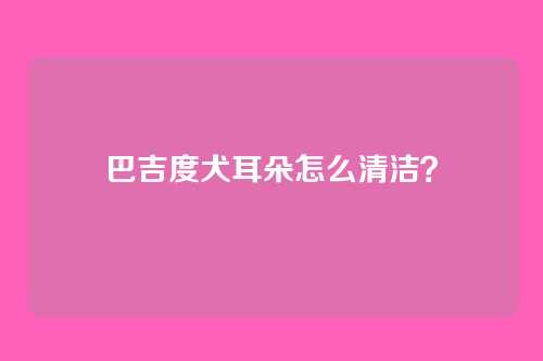 巴吉度犬耳朵怎么清洁？