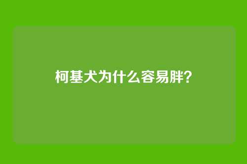 柯基犬为什么容易胖？