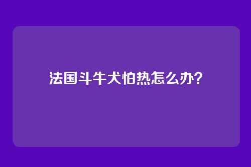 法国斗牛犬怕热怎么办？