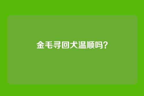 金毛寻回犬温顺吗?