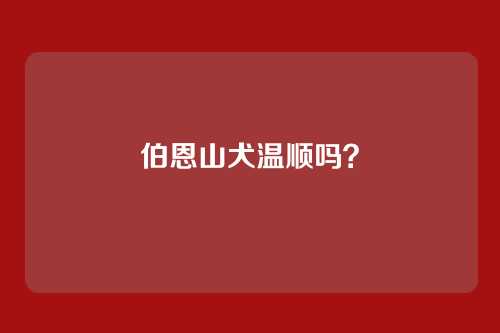 伯恩山犬温顺吗？