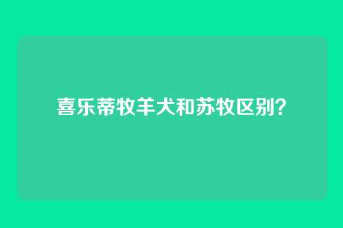 喜乐蒂牧羊犬和苏牧区别？