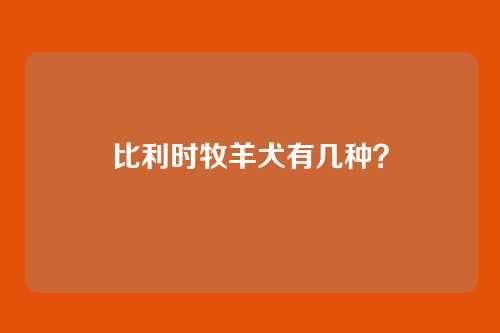 比利时牧羊犬有几种？